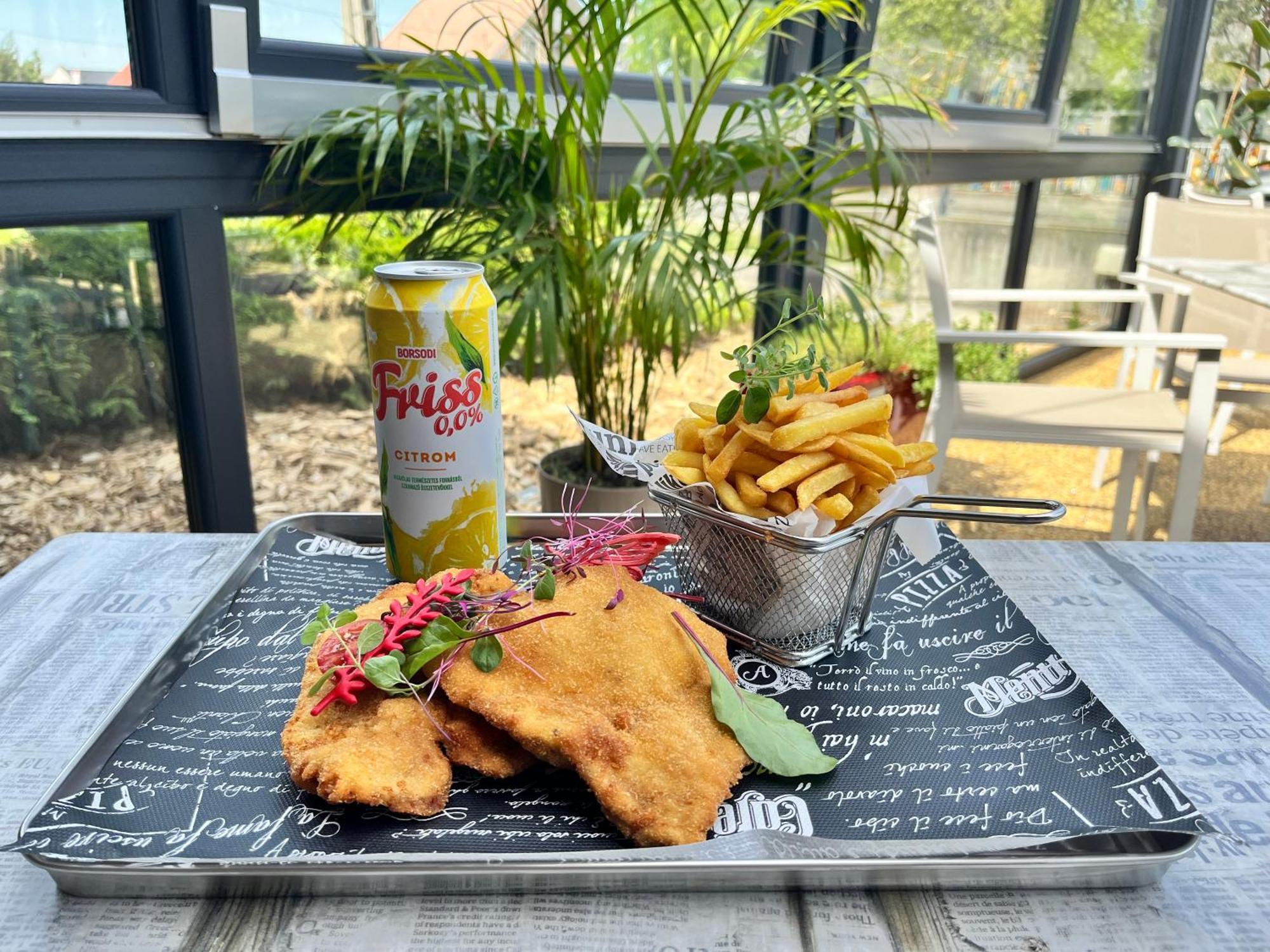 Hotel Pipacs Panir & Grill Garden Vendeghaz Győrújbarát Zewnętrze zdjęcie